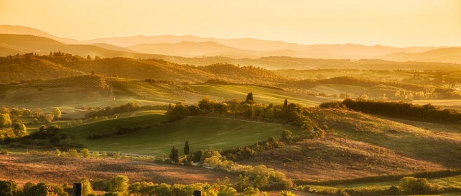 Chi siamo
